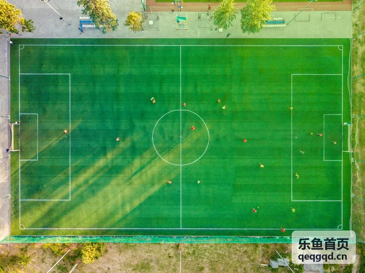 乐鱼首页首屏画面二